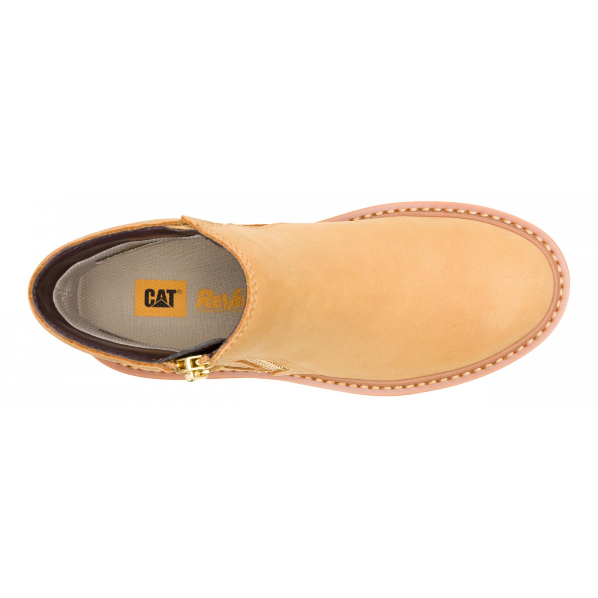 Colorado Max W's Chelsea