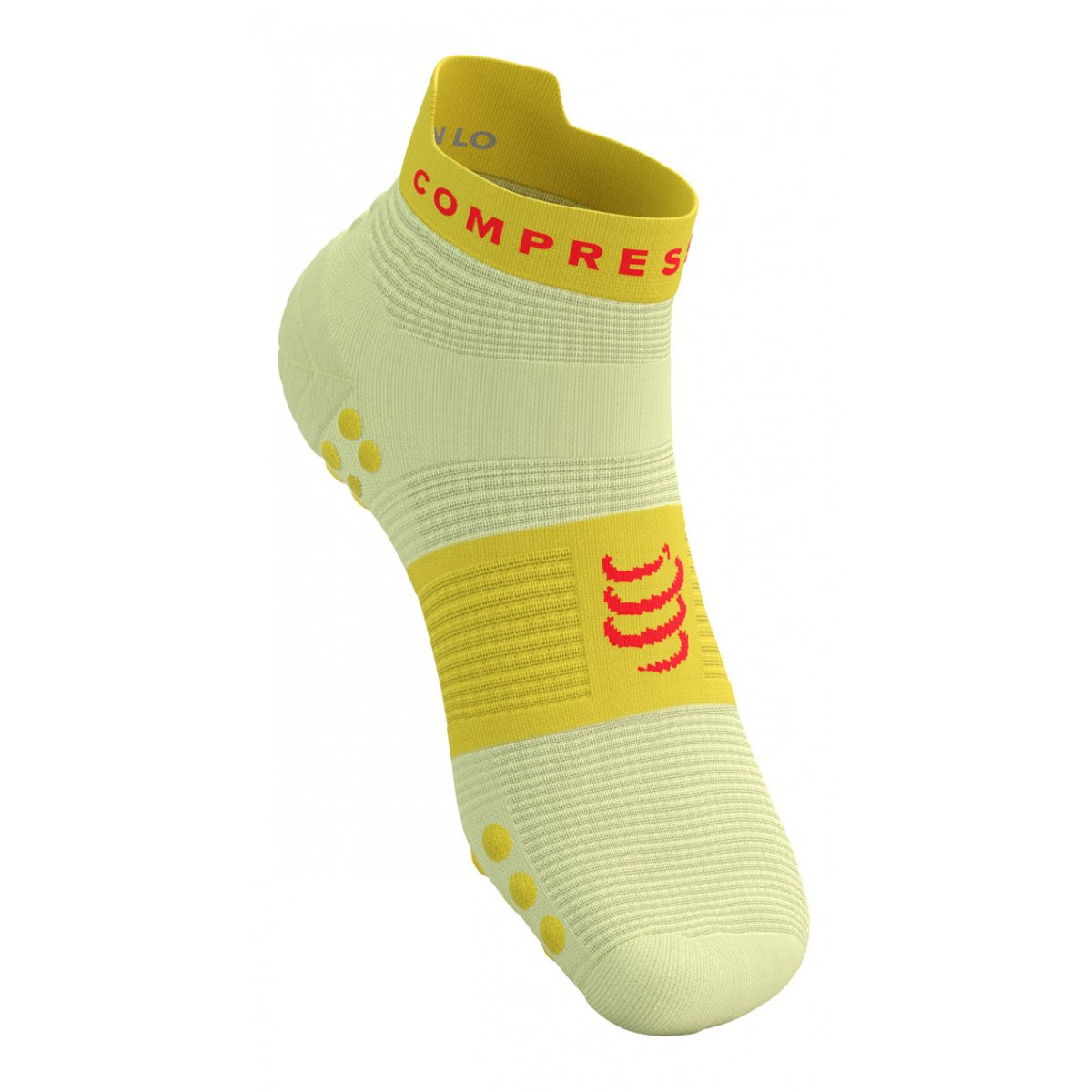 PRO RACING SOCKS V4.0 RUN LOW