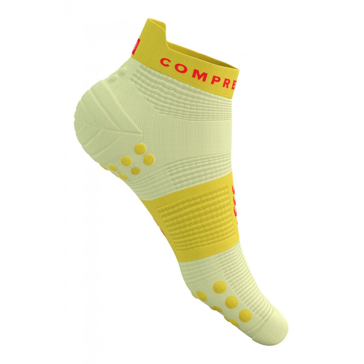 PRO RACING SOCKS V4.0 RUN LOW
