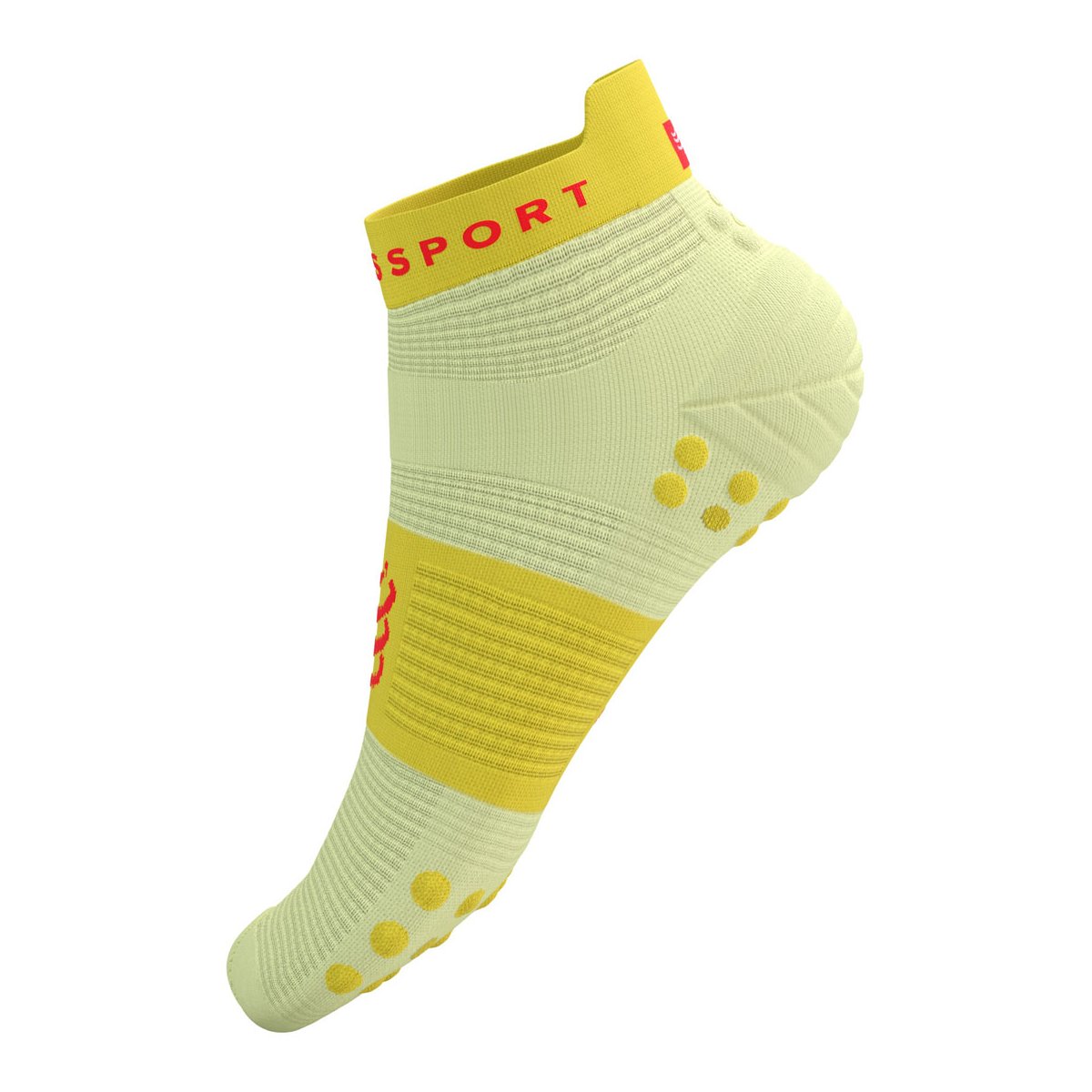 PRO RACING SOCKS V4.0 RUN LOW