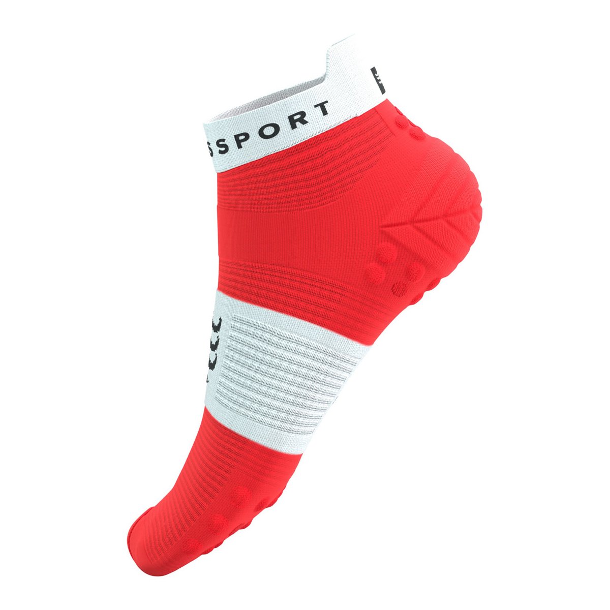 PRO RACING SOCKS V4.0 RUN LOW