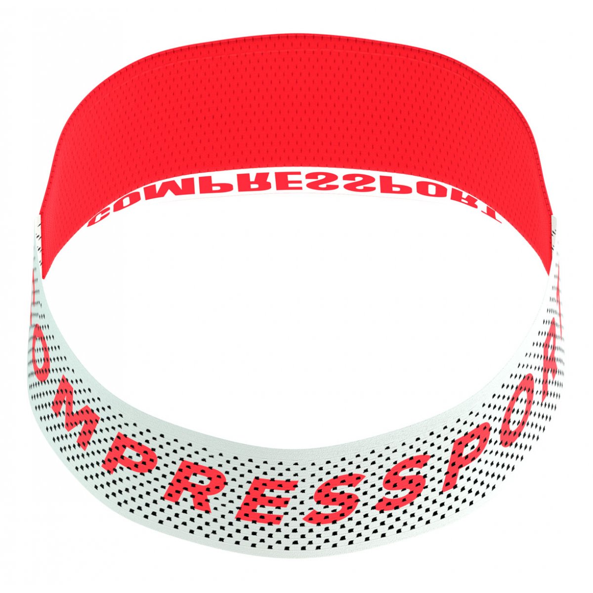 PRO RACING VISOR