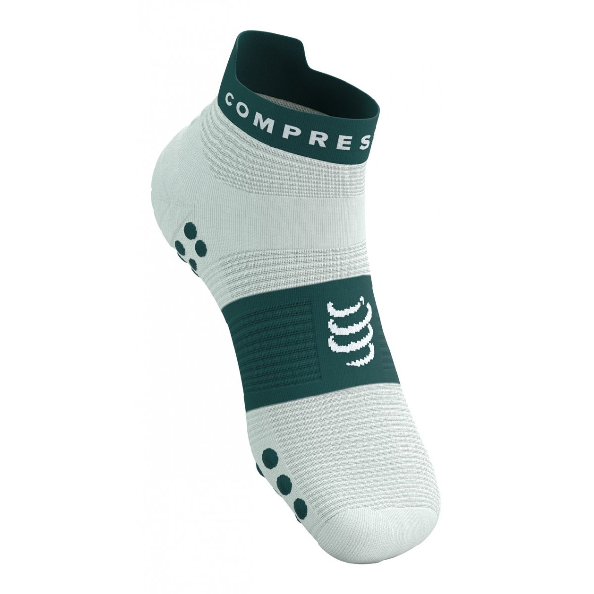 PRO RACING SOCKS V4.0 RUN LOW