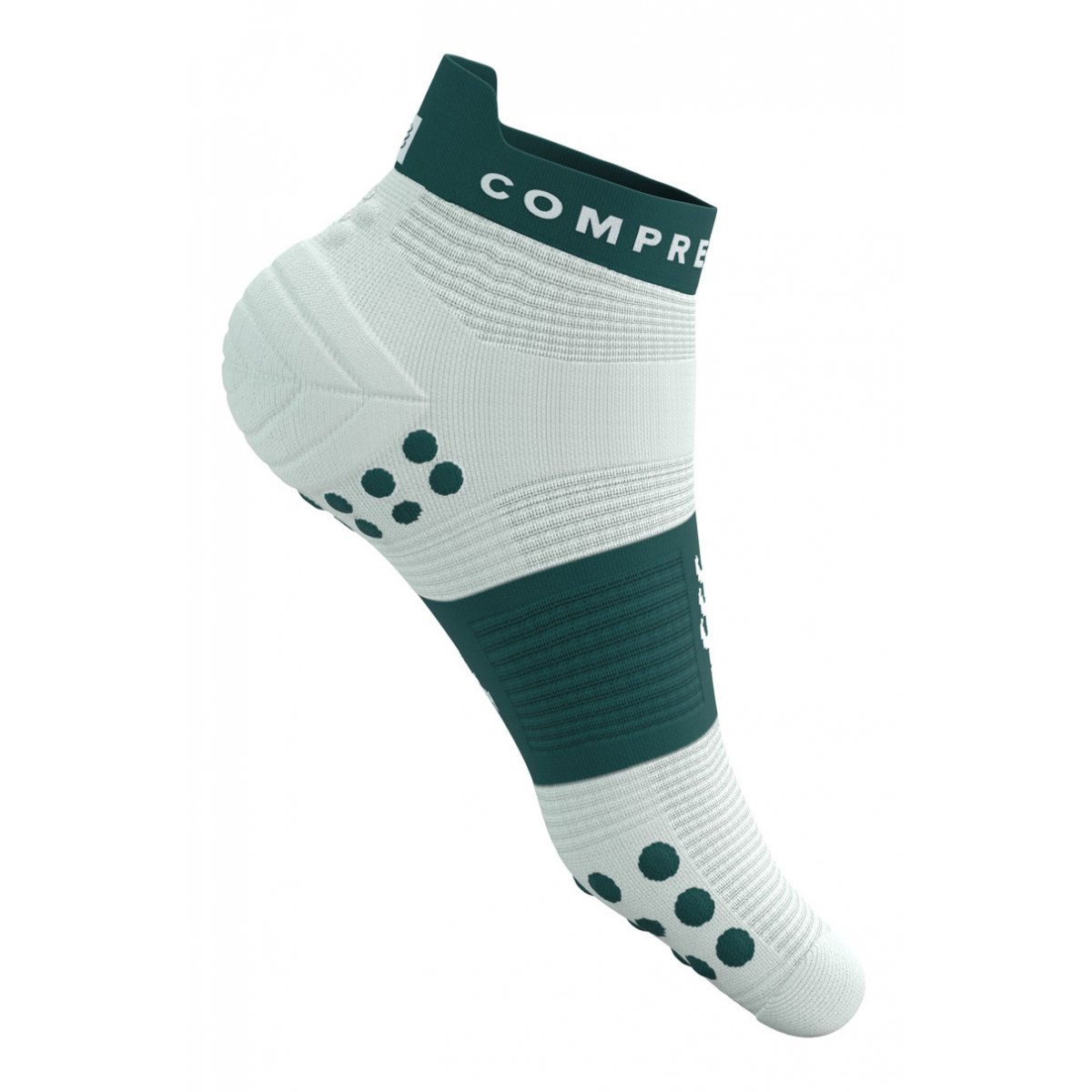 PRO RACING SOCKS V4.0 RUN LOW