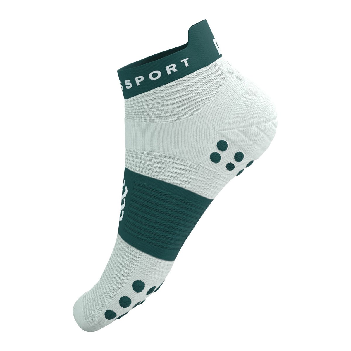 PRO RACING SOCKS V4.0 RUN LOW