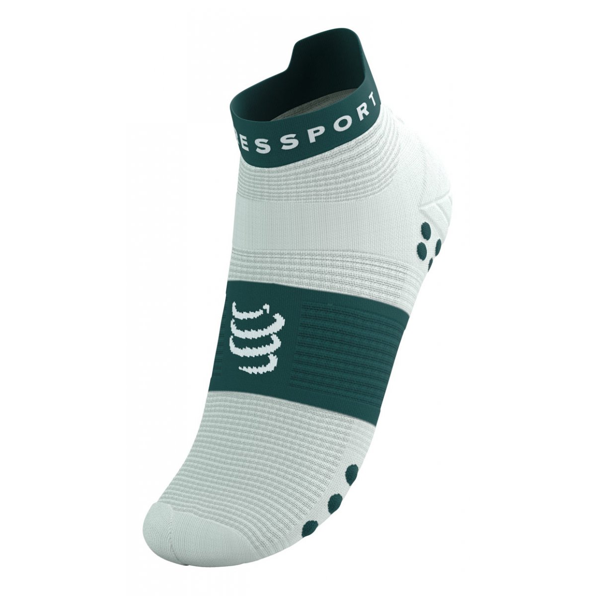 PRO RACING SOCKS V4.0 RUN LOW