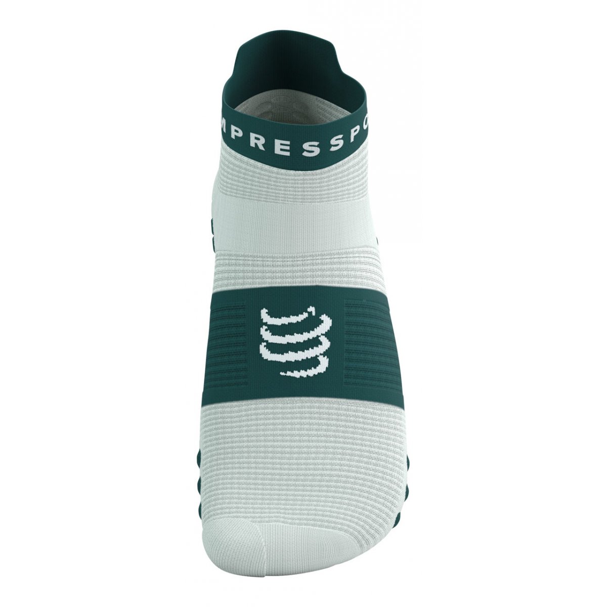 PRO RACING SOCKS V4.0 RUN LOW