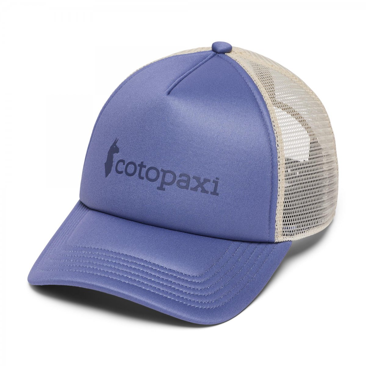 Vintage Trucker Hat