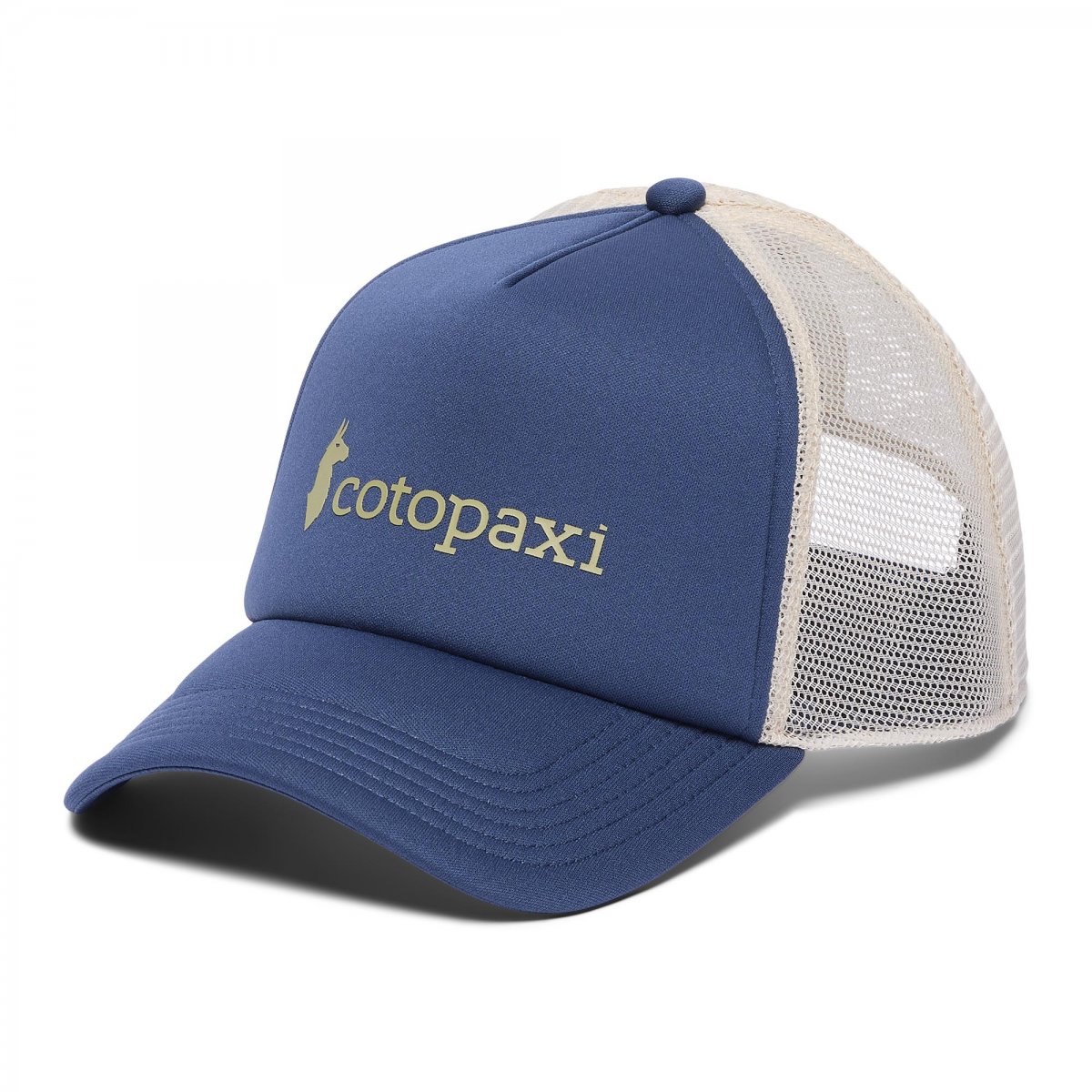 Vintage Trucker Hat