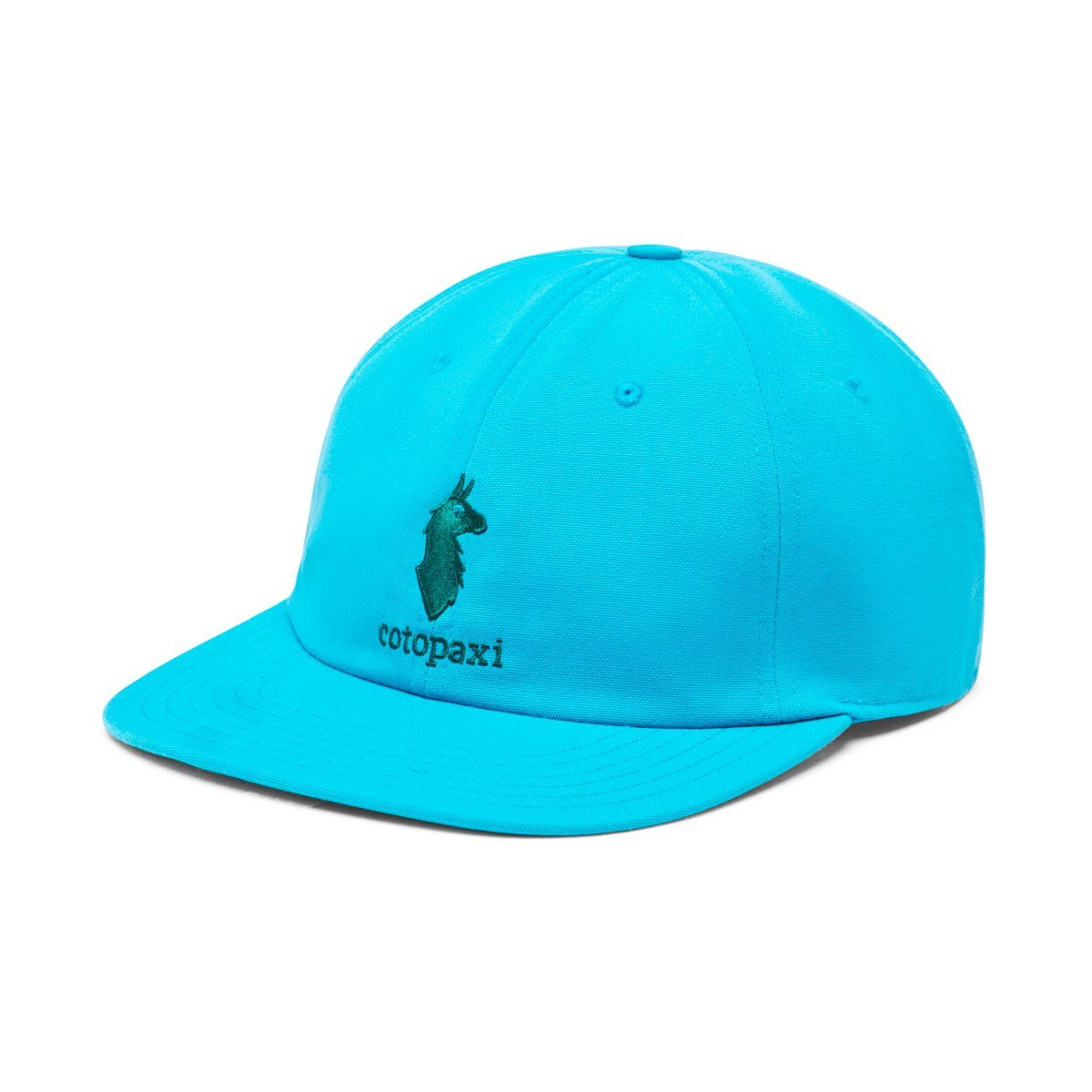 Cotopaxi Dad Hat
