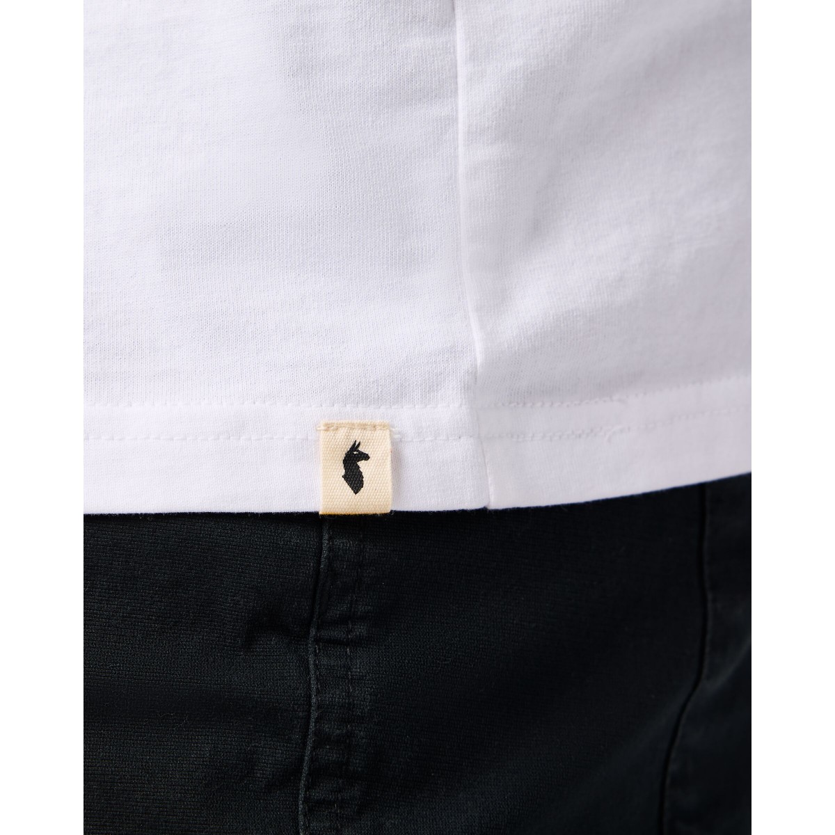 Cotopaxi mountain t-shirt m