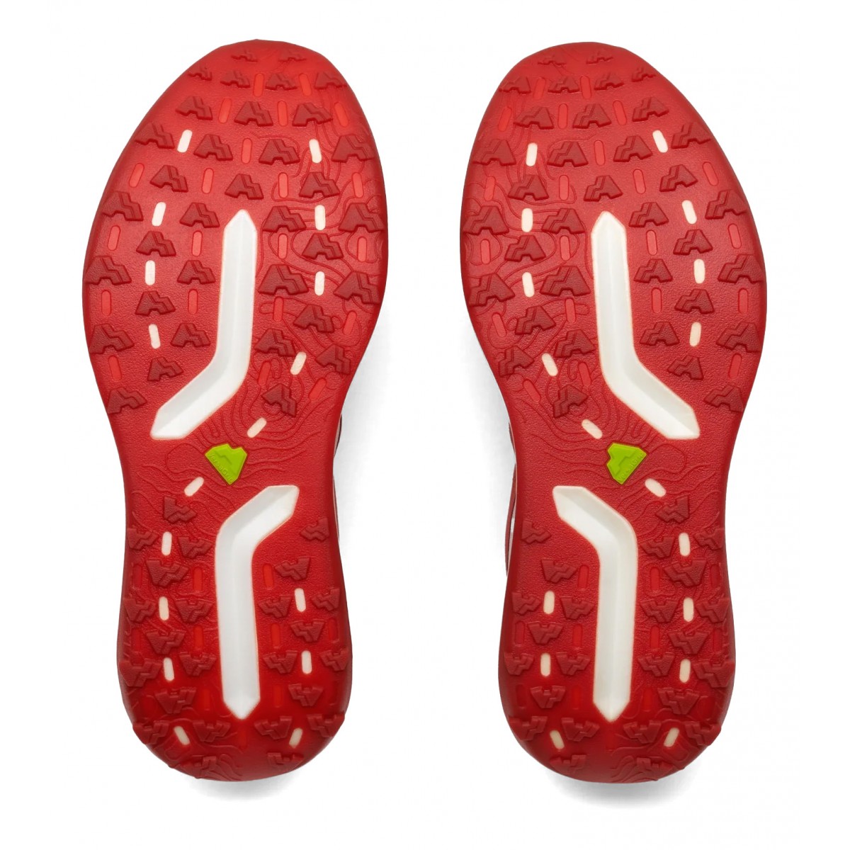 Scarpa H1 Man