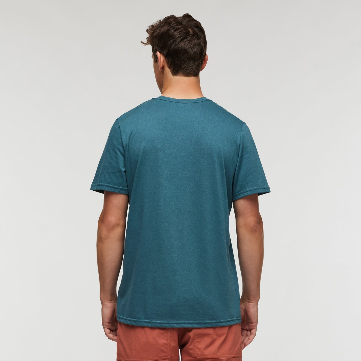 Llama Greetings Organic T-Shirt Man