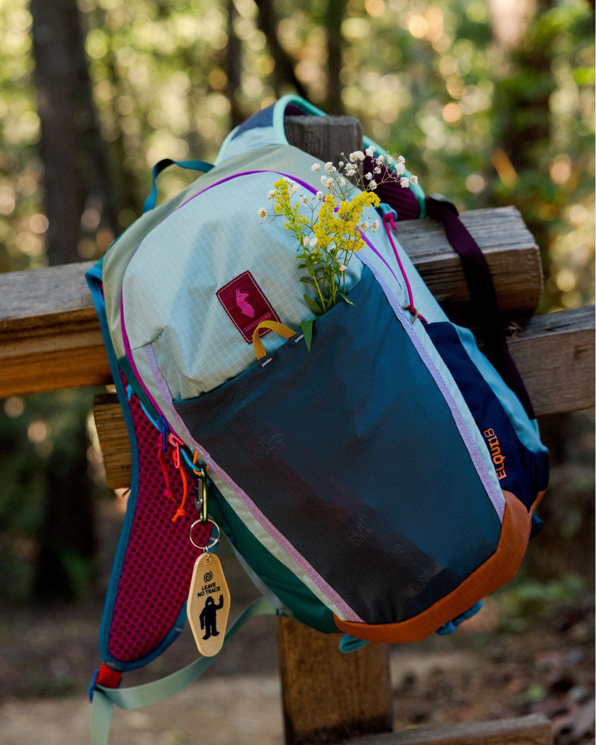 Elqui 18L Backpack - Del Dia