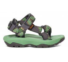 Centipede Vibrant Green