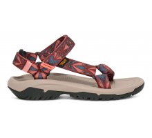 Archive Wings Blooming Dahlia