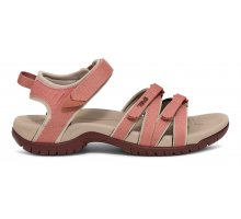 Desert Sand/ Rum Raisin