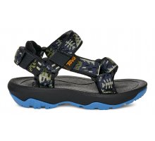 Modern Nature Iguana