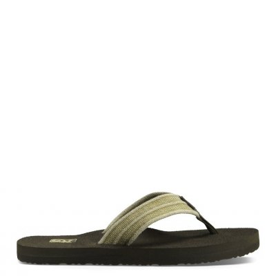 M Mush II Canvas