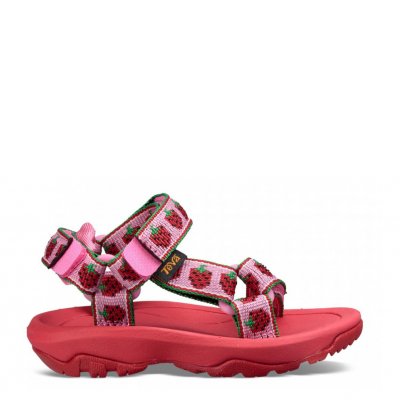 Hurricane XLT 2 Sandalo Toddler