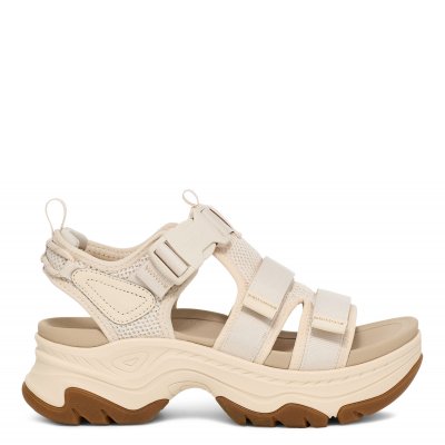 Hurricane ampsole gaila