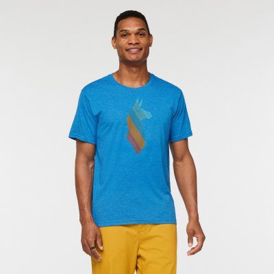 Llama Stripes Organic T-Shirt Man ATLA