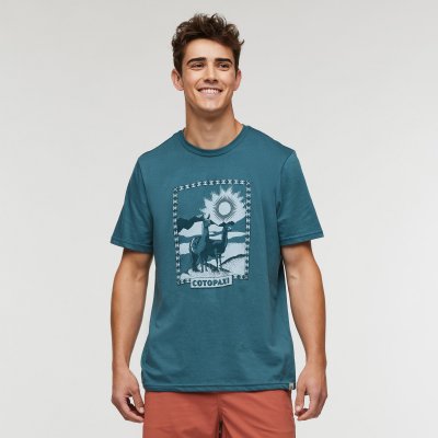 Llama Greetings Organic T-Shirt Man BLSPC