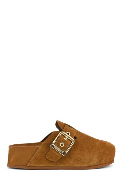 Wedge sabot with anatomical insole